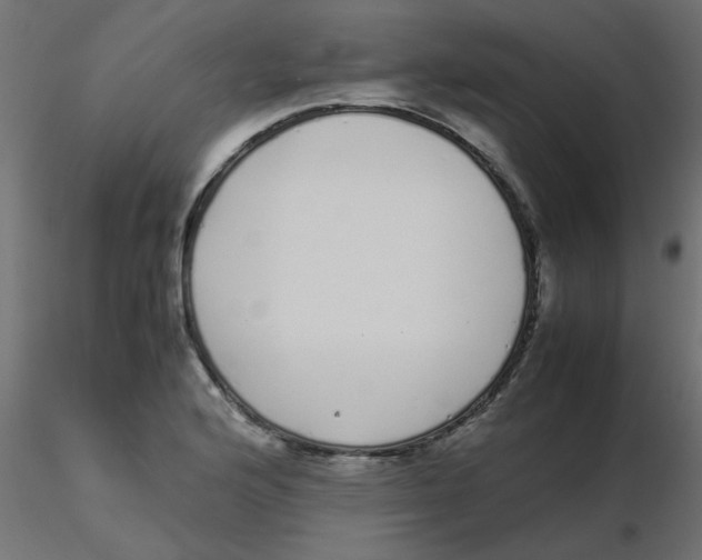 X0000116601176200912312051