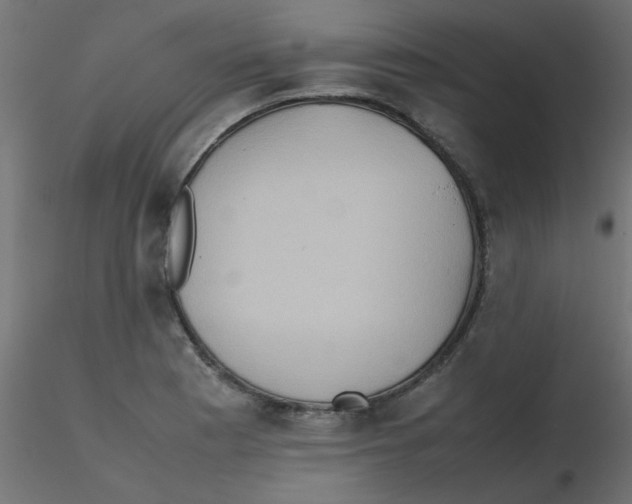 X0000116601177200912312051