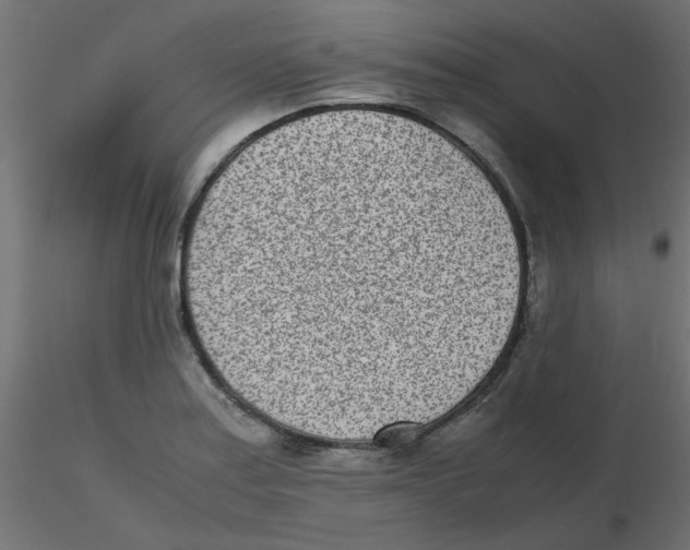 X0000116601179200912312051