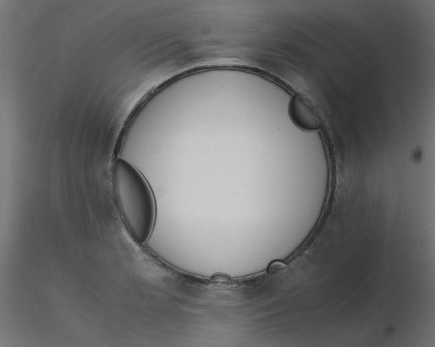 X0000116601181200912312051