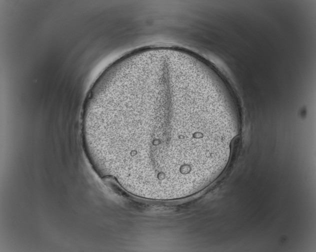 X0000116601183200912312050