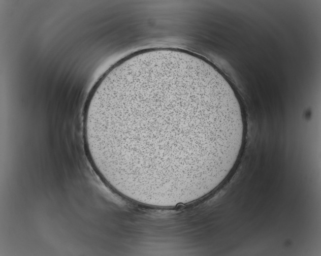 X0000116601184200912312050