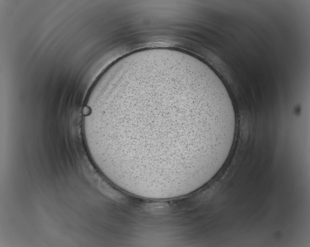 X0000116601186200912312050