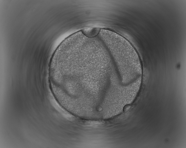 X0000116601187200912312050