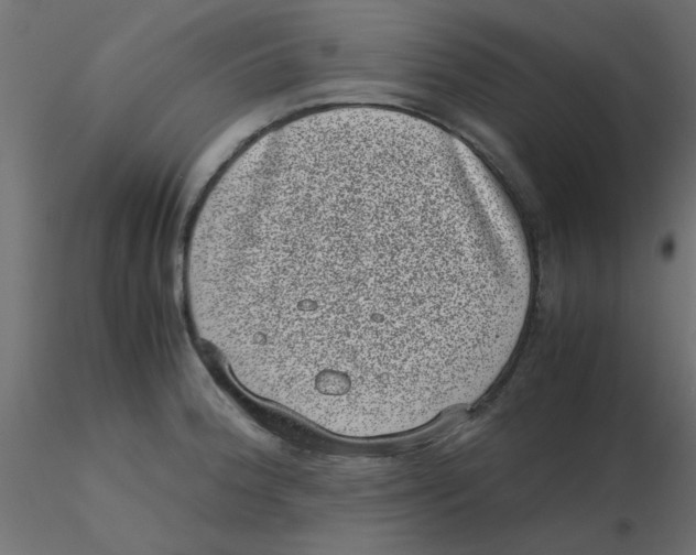 X0000116601188200912312050