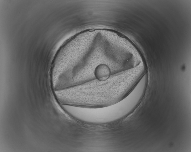 X0000116601189200912312050