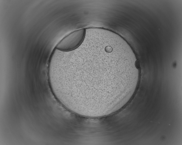 X0000116601190200912312050