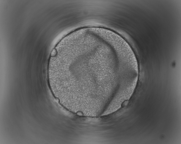 X0000116601191200912312050