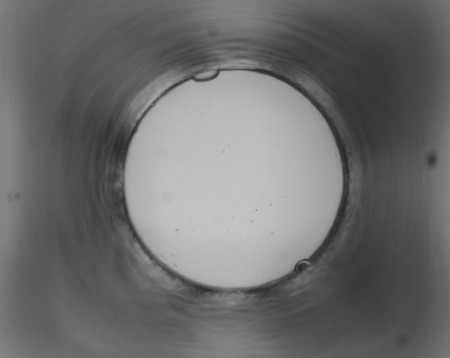 X0000116601193200912312050