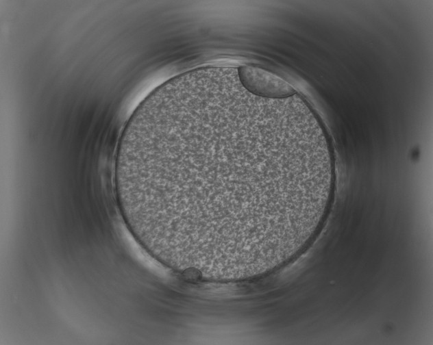 X0000116601194200912312050