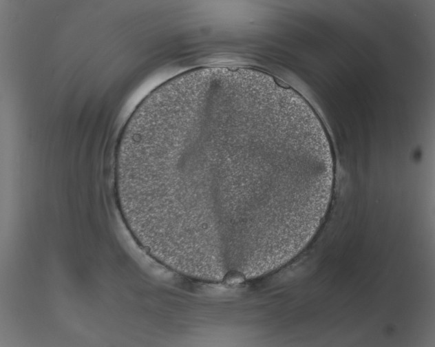 X0000116601195200912312050