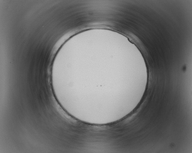 X0000116601196200912312050