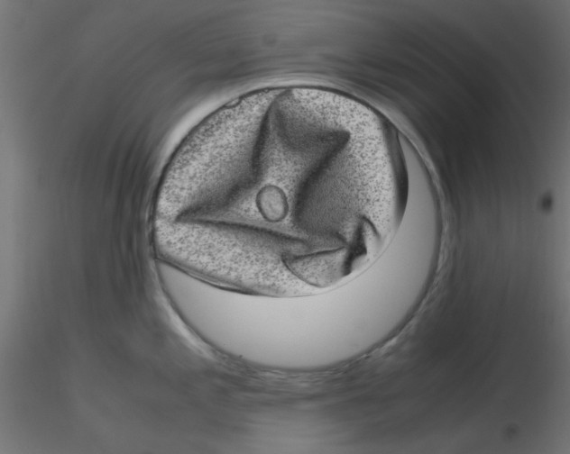 X0000116601197200912312050