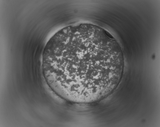 X0000116601198200912312050