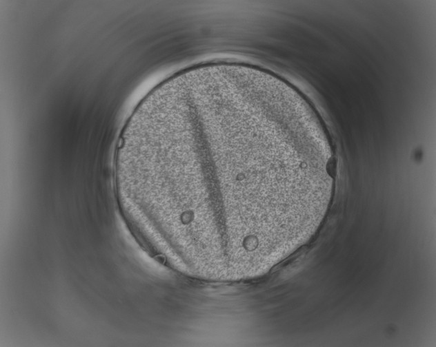 X0000116601199200912312050