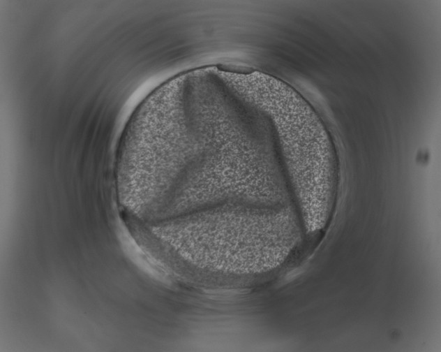 X0000116601200200912312050