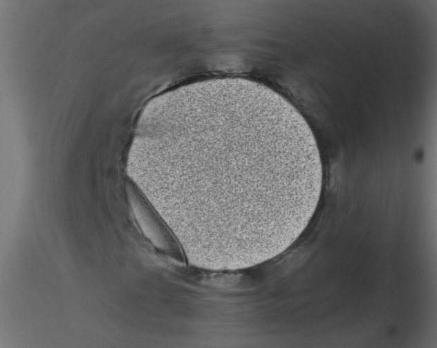 X0000116601201200912312050