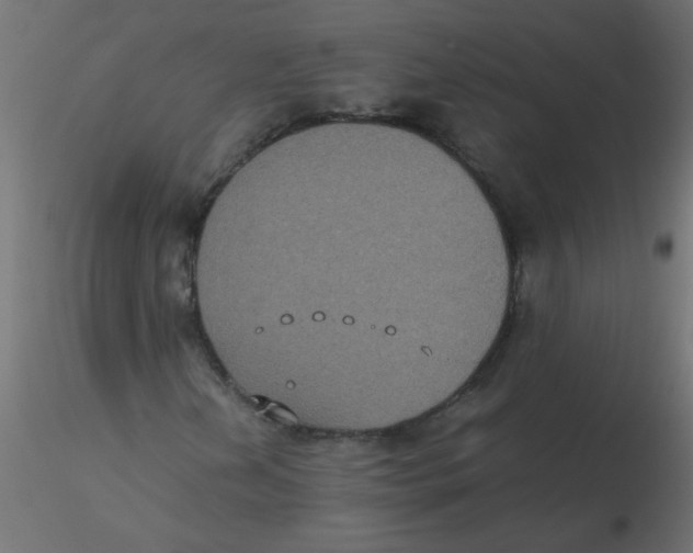 X0000116601202200912312050