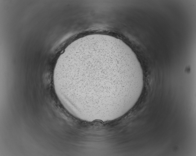 X0000116601206200912312050