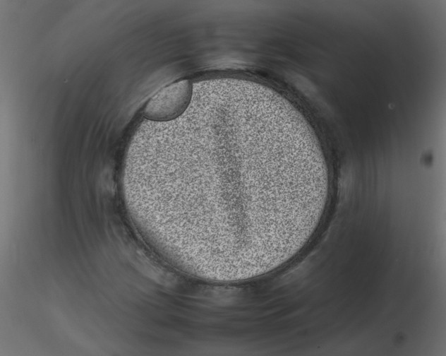 X0000116601209200912312050