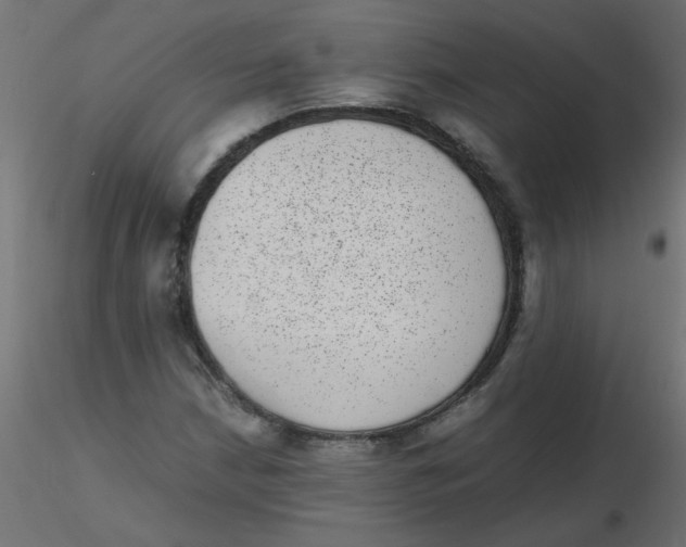 X0000116601210200912312050