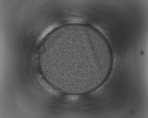 X0000116601211200912312050