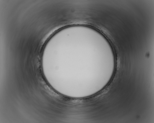 X0000116601212200912312050