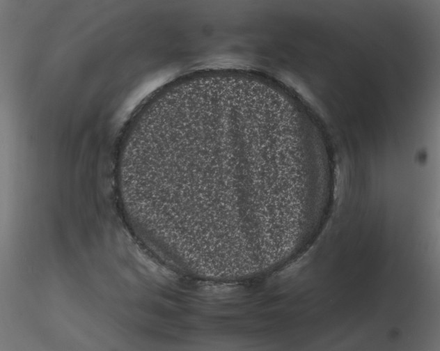 X0000116601213200912312050