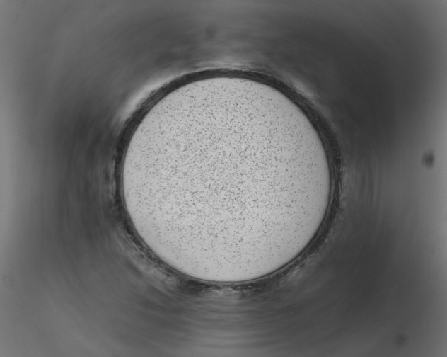 X0000116601214200912312050