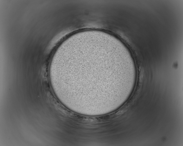 X0000116601215200912312050