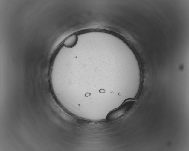 X0000116601216200912312050