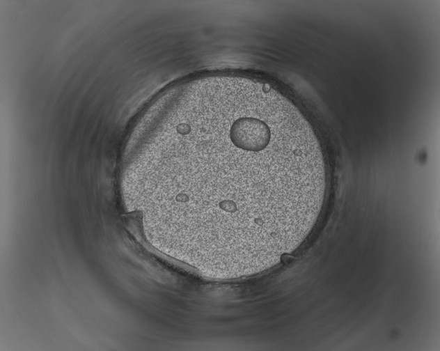 X0000116601217200912312050