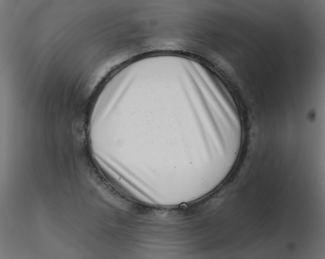 X0000116601218200912312050