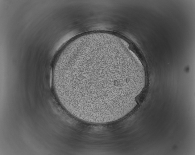 X0000116601219200912312050