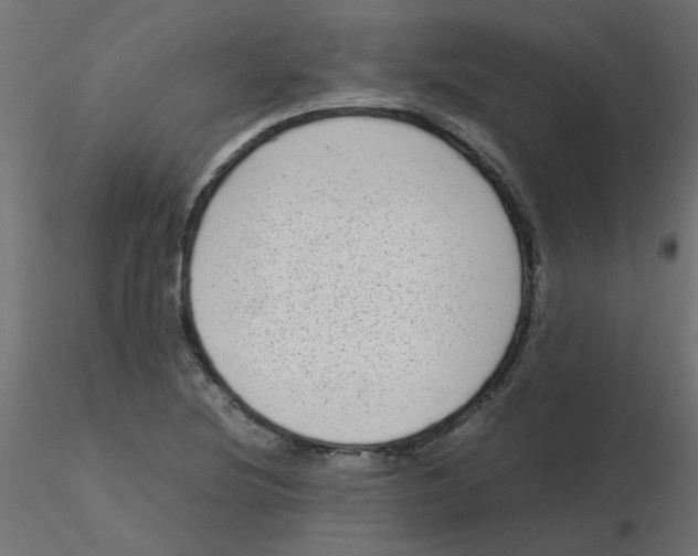 X0000116601220200912312050