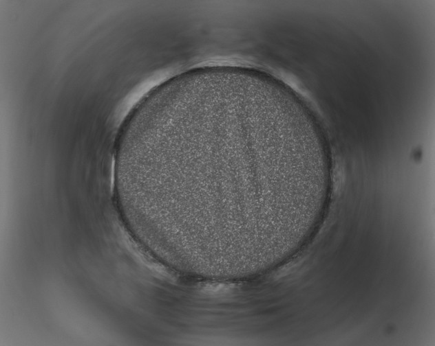 X0000116601221200912312050