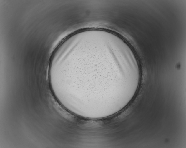 X0000116601224200912312050