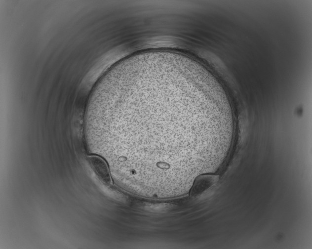 X0000116601225200912312050