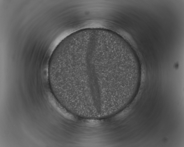 X0000116601226200912312050