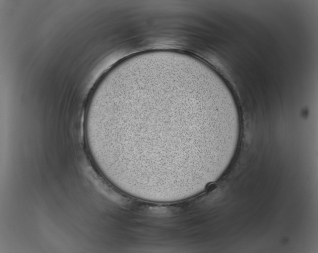 X0000116601227200912312050