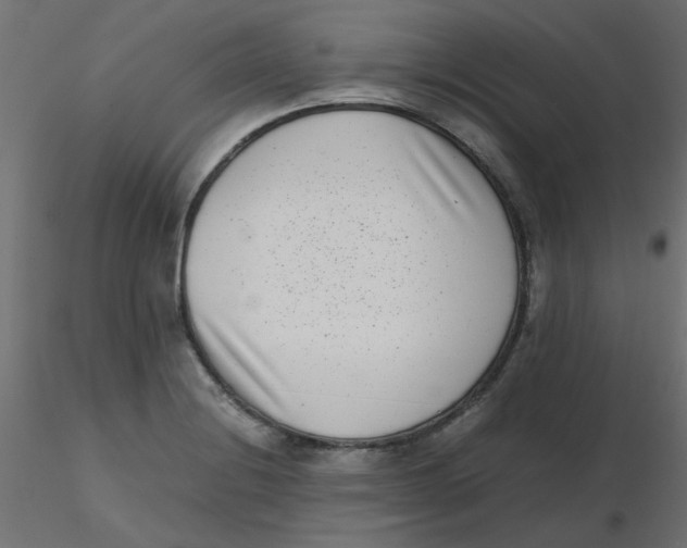 X0000116601228200912312050