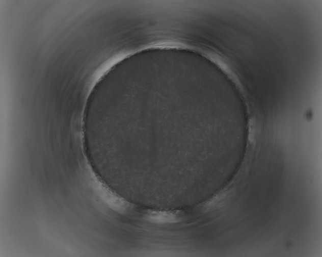 X0000116601229200912312050