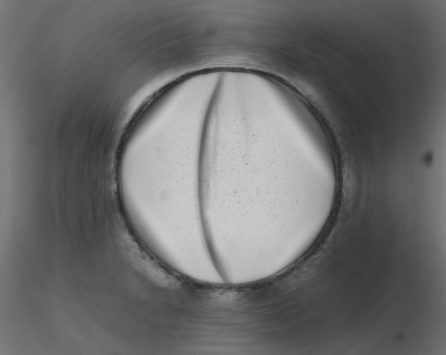 X0000116601230200912312050