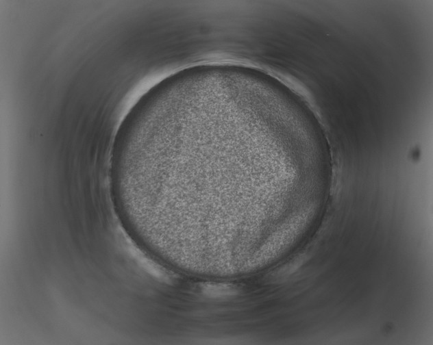 X0000116601231200912312050