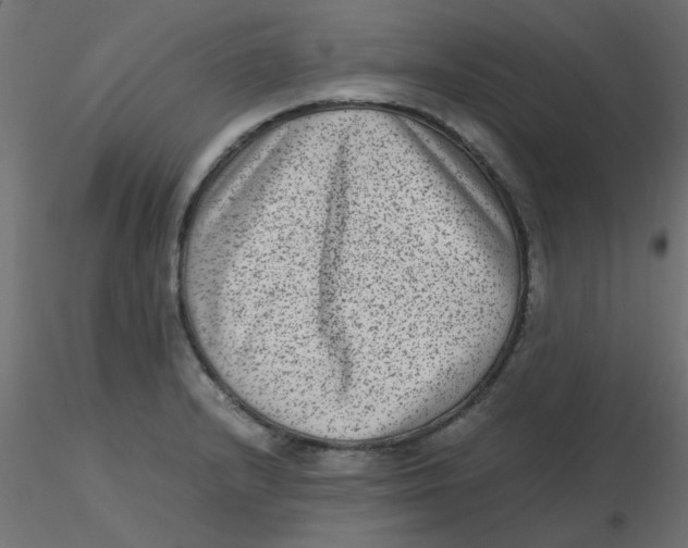 X0000116601232200912312050