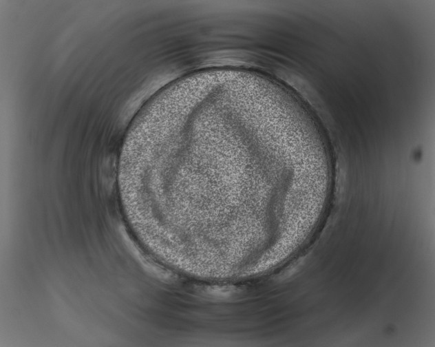 X0000116601233200912312050