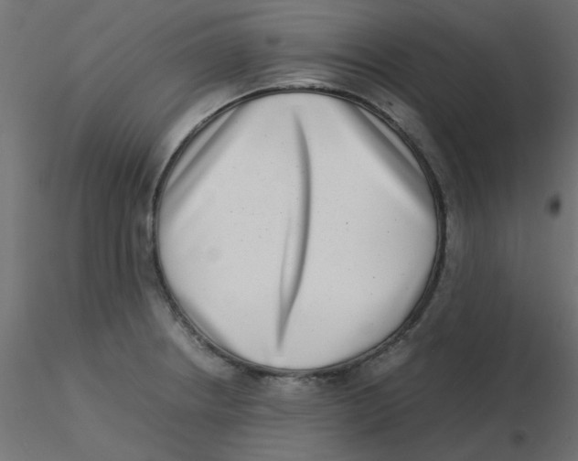 X0000116601234200912312050