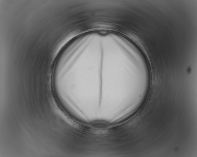 X0000116601235200912312050