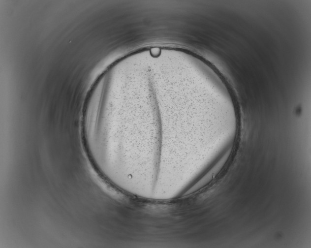 X0000116601237200912312050