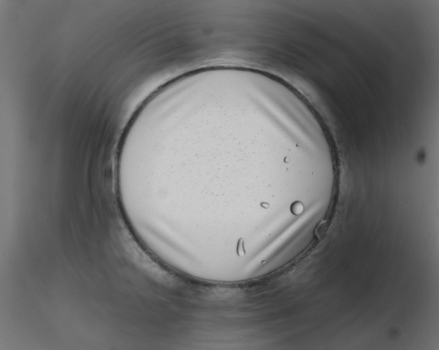 X0000116601238200912312050